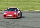 IMG 7831