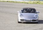 IMG 7964